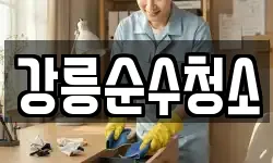 강릉순수청소