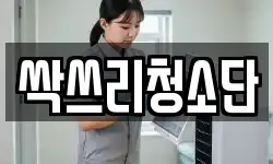 싹쓰리청소단