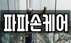 파파손케어