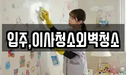 입주,이사청소외벽청소