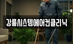강원특별자치도 강릉시 교동 청소,입주청소,사무실청소,에어컨청소