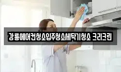 강릉에어컨청소입주청소세탁기청소 크리크린