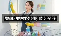 강릉에어컨청소입주청소세탁기청소 크리크린