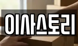 이사스토리
