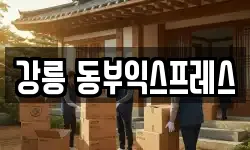 강릉 동부익스프레스