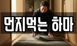 먼지먹는 하마