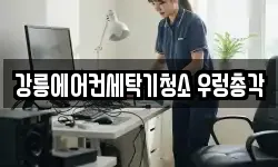 강릉에어컨세탁기청소 우렁총각