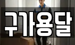 강원특별자치도 강릉시 내곡동 이사,용달이사,포장이사,원룸이사,보관이사