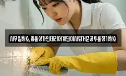 사무실청소,원룸상가인테리어계단이사퇴거준공투룸정기청소