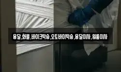용달,화물,바이크탁송,오토바이탁송,용달이사,원룸이사