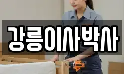 강릉이사박사