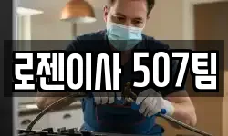 로젠이사 507팀