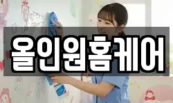 올인원홈케어