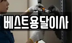 베스트용달이사