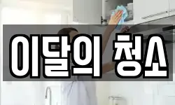 이달의 청소