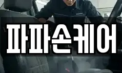파파손케어