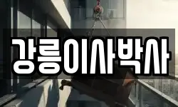 강릉이사박사