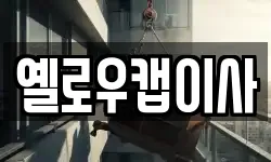 옐로우캡이사