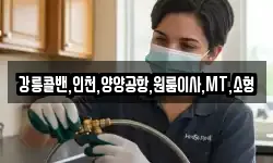 강릉콜밴,인천,양양공항,원룸이사,MT,소형