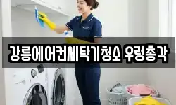 강릉에어컨세탁기청소 우렁총각