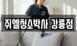 쥐엘청소박사 강릉점