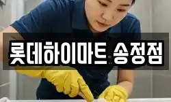 롯데하이마트 송정점
