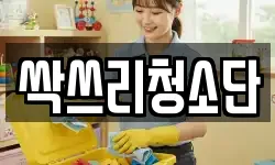 싹쓰리청소단