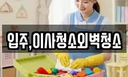 입주,이사청소외벽청소
