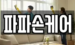 파파손케어