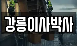 강릉이사박사