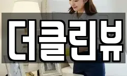 더클린뷰