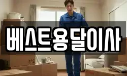 베스트용달이사