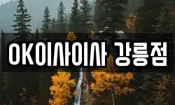 OK이사이사 강릉점