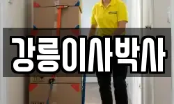 강릉이사박사
