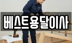 베스트용달이사