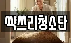 싹쓰리청소단