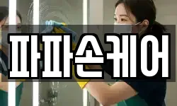 파파손케어