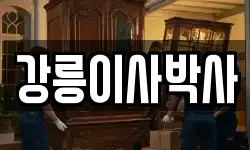 강릉이사박사