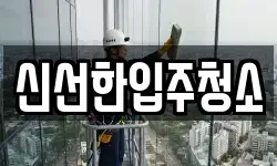 신선한입주청소