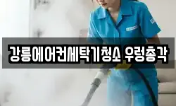 강릉에어컨세탁기청소 우렁총각