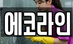 에코라인