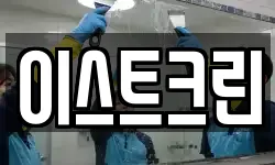 이스트크린