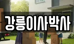 강릉이사박사
