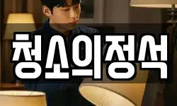 청소의정석