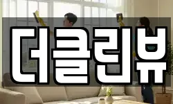 더클린뷰