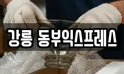 강릉 동부익스프레스