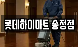 롯데하이마트 송정점