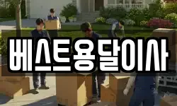 베스트용달이사