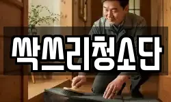 싹쓰리청소단