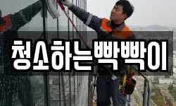 청소하는빡빡이
